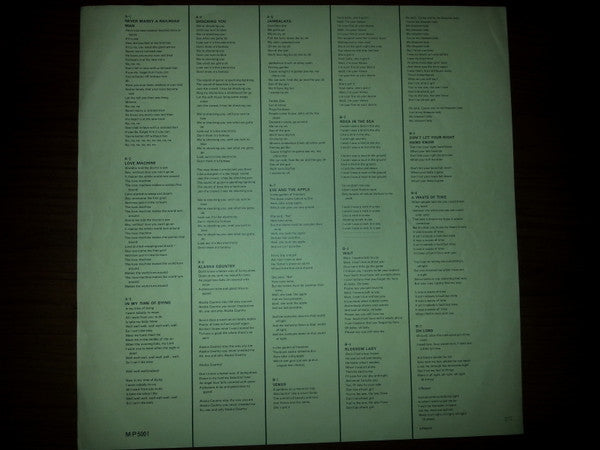 Portrait Of The Shocking Blue