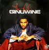 Ginuwine - The Life (2xVinyl, LP, Album) Good Plus (G+) / Very Good (VG)