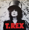 T. Rex - The Slider (Vinyl, LP, Album, Reissue) Very Good Plus (VG+) / Very Good Plus (VG+)