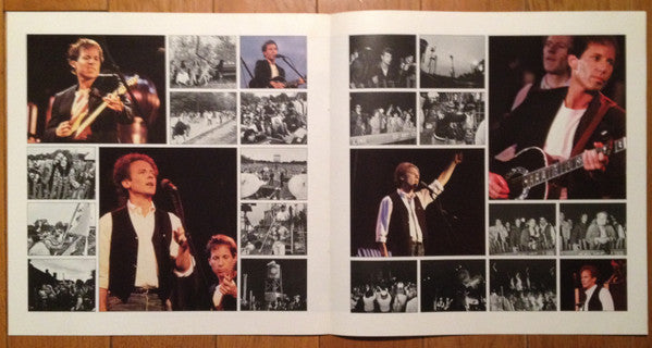 The Concert In Central Park