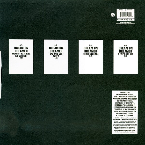 Master Release: Dream On Dreamer by The Brand New Heavies