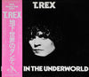 T. Rex - Dandy In The Underworld (LP, Album, Reissue) - Very Good Plus (VG+) / Very Good Plus (VG+)