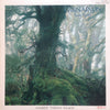 Andrew Thomas Wilson - Carnarvon -Rain Forest- = レイン・フォレスト (Vinyl, LP, Album, Promo, Stereo) Very Good Plus (VG+) / Very Good (VG)