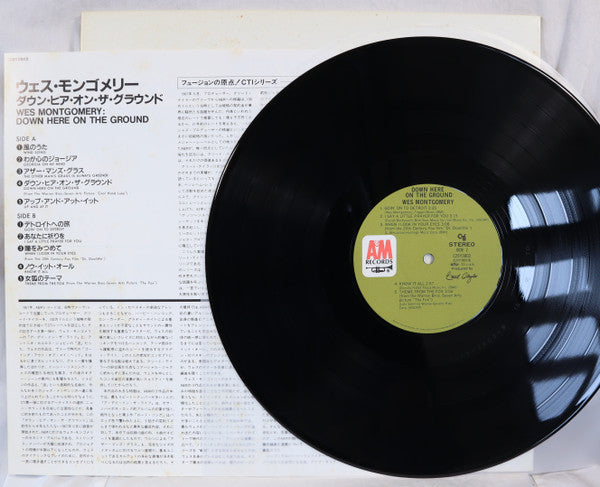 Down Here On The Ground