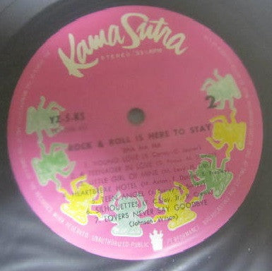 Rock & Roll Is Here To Stay