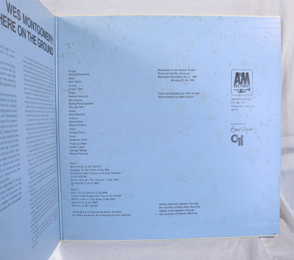 Down Here On The Ground