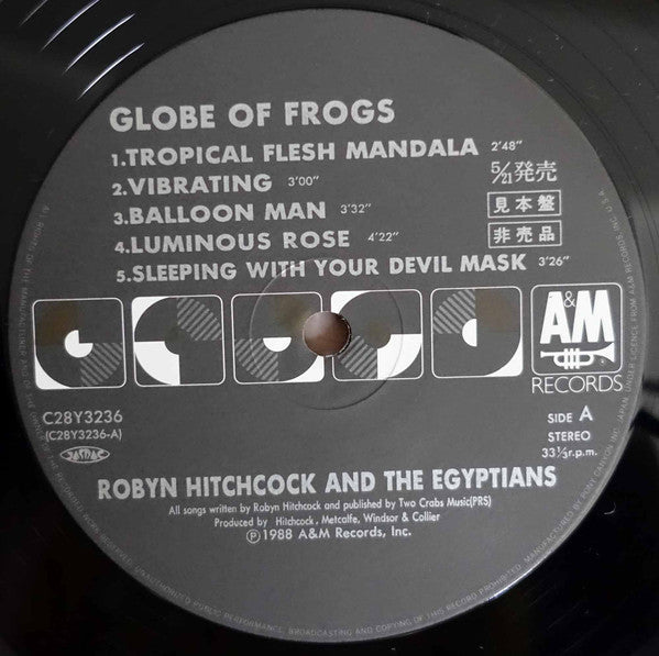 Globe Of Frogs