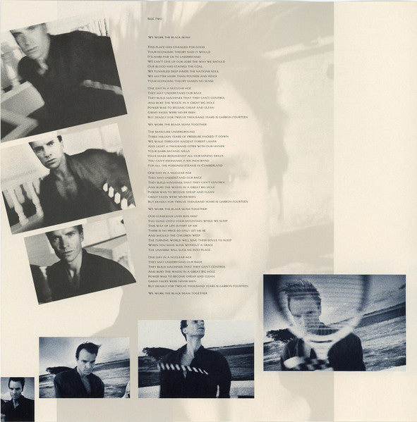 The Dream Of The Blue Turtles