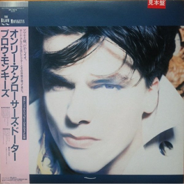 Release: She Was Only A Grocer's Daughter-Vinyl-Japan-1987-RPL-8372-4030729