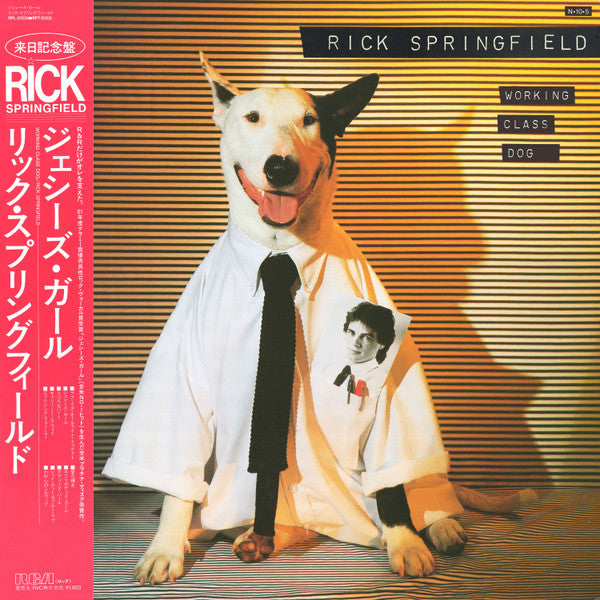 Release: Working Class Dog-Vinyl-Japan-1984-RPL-2133-8114474
