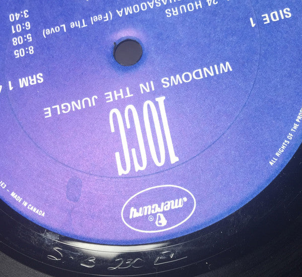 Windows In The Jungle