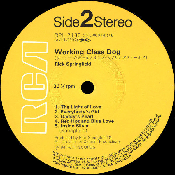 Working Class Dog