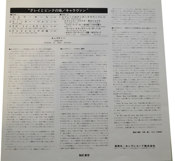 In The Land Of Grey And Pink