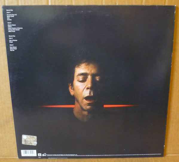Master Release: Ecstasy by Lou Reed