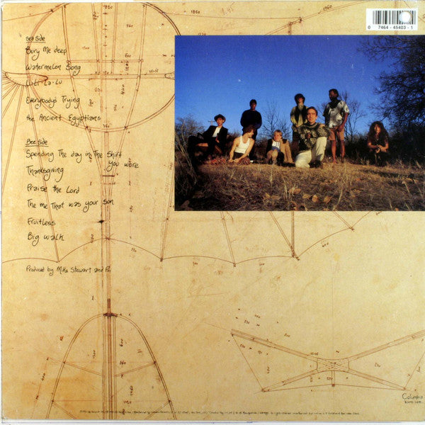 Release: Wishing Like A Mountain And Thinking Like The Sea-Vinyl-US-1990-C 45403, C 45403-3452423