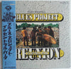 The Blues Project - Reunion In Central Park (2xLP, Album) - Very Good Plus (VG+) / Very Good (VG)