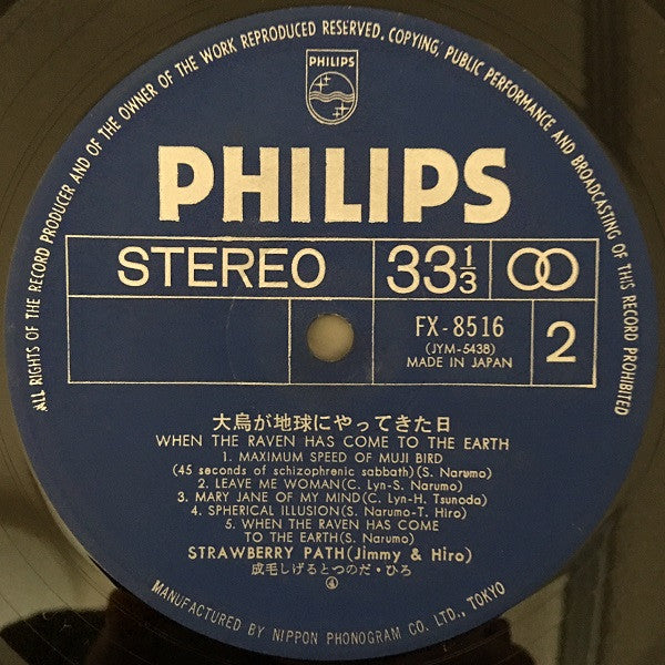 When The Raven Has Come To The Earth