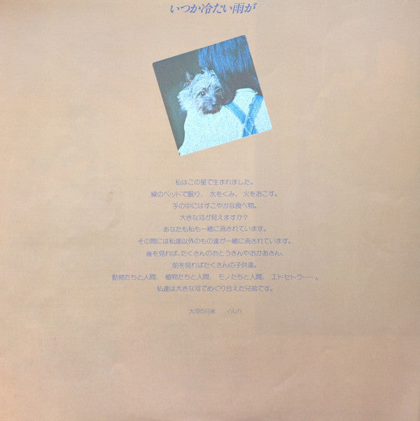 いつか冷たい雨が