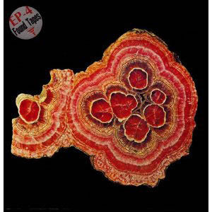 Release: Found Tapes-Vinyl-Japan-1984-TGEP-023-3774545