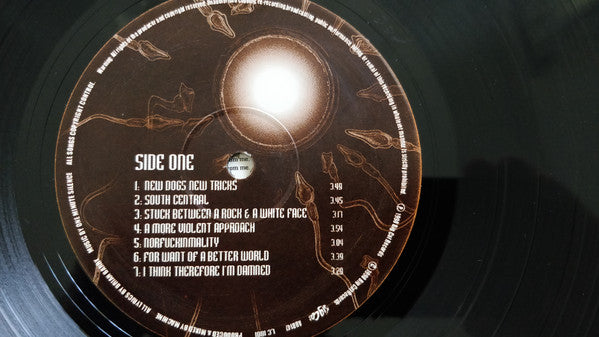 Available In All Colours