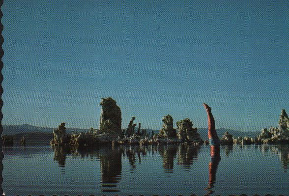 Wish You Were Here = 炎 (あなたがここにいてほしい)