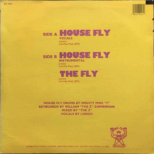 House Fly