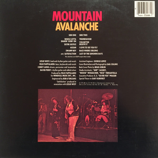 Release: Avalanche-Vinyl-US-None-PC 33088, PC 33088-3267811