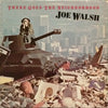 Joe Walsh - There Goes The Neighborhood (Vinyl, LP, Album) Very Good (VG) / Good Plus (G+)