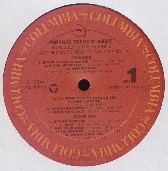 Introducing The Hardline According To Terence Trent D'Arby