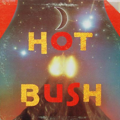 Release: Hot Bush-Vinyl-US-1980-APA-77007-1063283