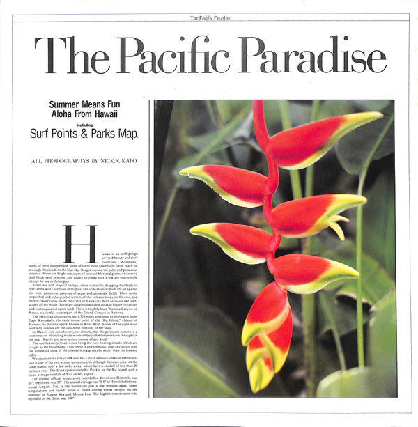 The Pacific Paradise