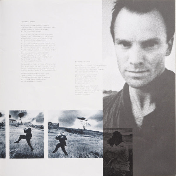 The Dream Of The Blue Turtles