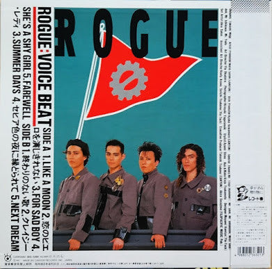 Master Release: Voice Beat by Rogue (12)