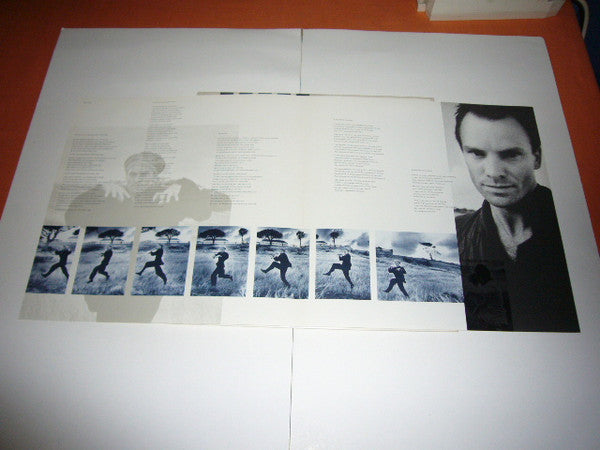 The Dream Of The Blue Turtles