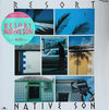 Native Son - Resort = リゾート (Vinyl, LP, Album, Stereo) Very Good Plus (VG+) / Very Good Plus (VG+)