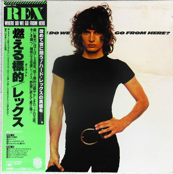 Release: Where Do We Go From Here?-Vinyl-Japan-1977-25AP 750-13350923