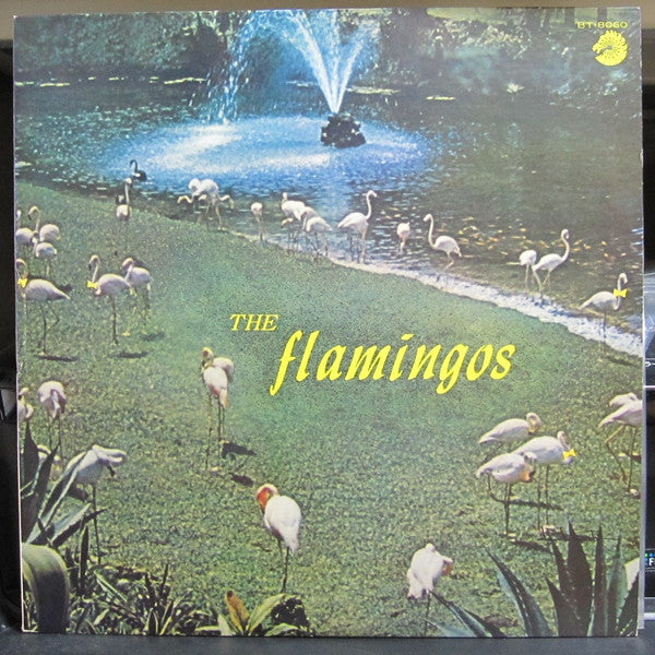 Flamingos