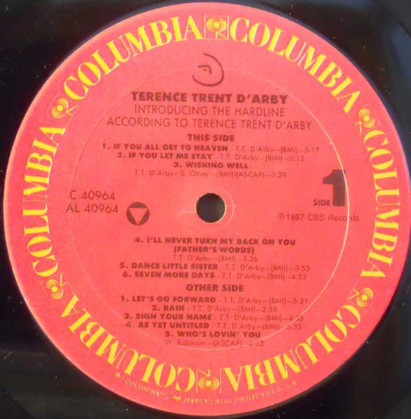 Introducing The Hardline According To Terence Trent D'Arby