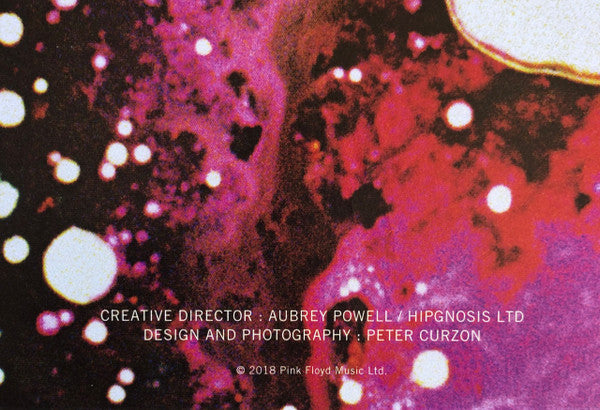 The Piper At The Gates Of Dawn