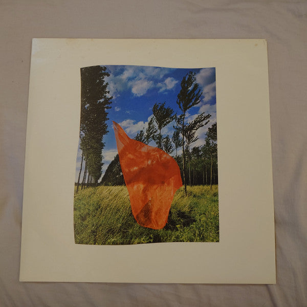 Wish You Were Here = 炎 (あなたがここにいてほしい)