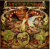 Spyro Gyra - Morning Dance (Vinyl, LP, Album) Very Good (VG) / Very Good (VG)