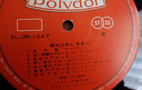 魅せられしギター