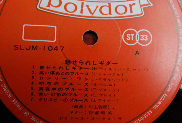 魅せられしギター