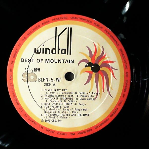 The Best Of Mountain