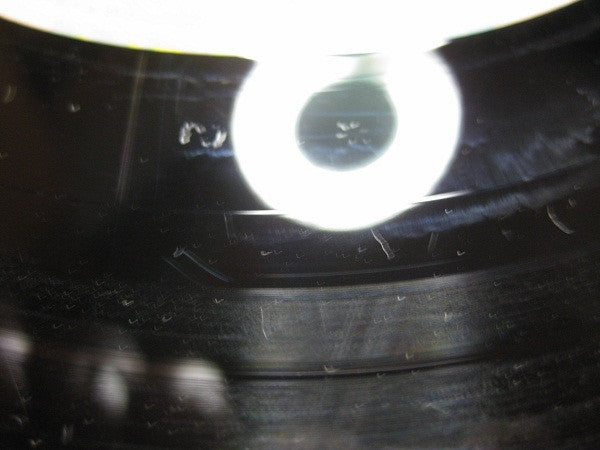 Livin' On The Fault Line