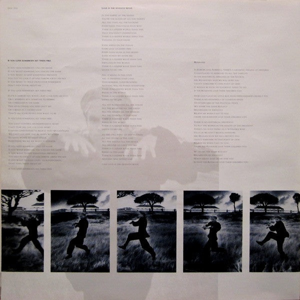 The Dream Of The Blue Turtles