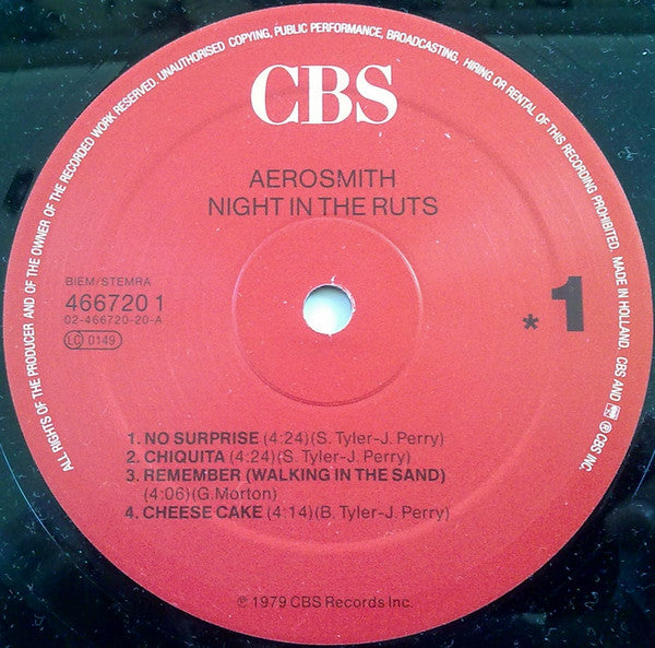 Night In The Ruts
