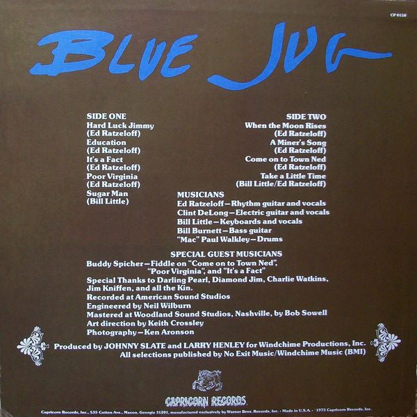 Blue Jug