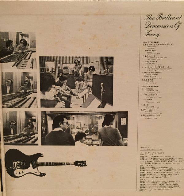 The Brilliant Dimension Of Terry