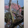 Pink Cloud (2) - Plant Blend (Vinyl, LP, Album) Very Good (VG) / Fair (F)